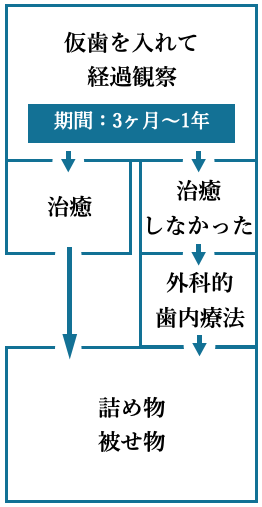 仮歯を入れて経過観察・治癒・詰め物・被せ物。治癒しなかった・外科的歯内療法・詰め物・被せ物